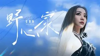 科维托娃至今英超出牌最多赛后发声的简单介绍